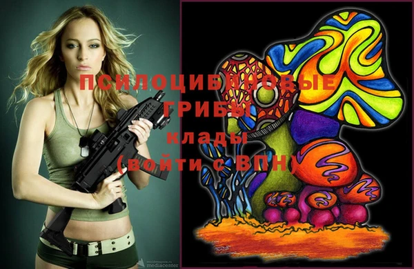 ALPHA PVP Алзамай