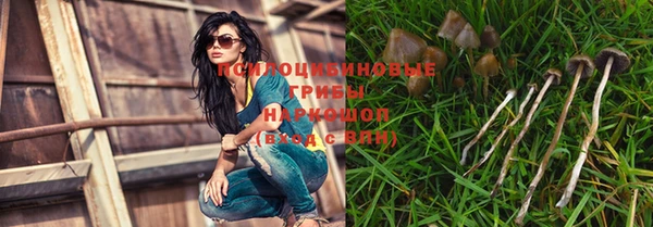 прущий лед Алексин