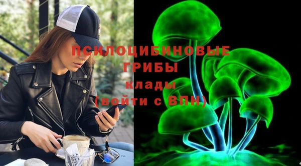 ALPHA PVP Алзамай