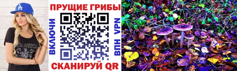 Псилоцибиновые грибы Magic Shrooms  Шахты 