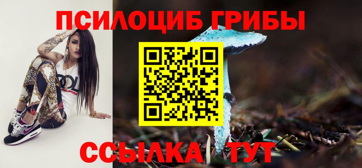 Псилоцибиновые грибы Psilocybine cubensis  где купить наркоту  Вход с VPN  Шахты  Галлюциногенные грибы Cubensis 